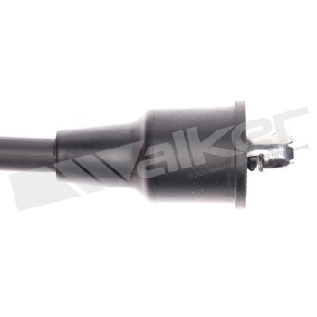 Spark Plug Wire Set