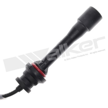 Spark Plug Wire Set