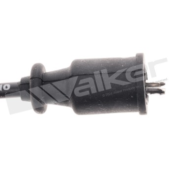 Spark Plug Wire Set