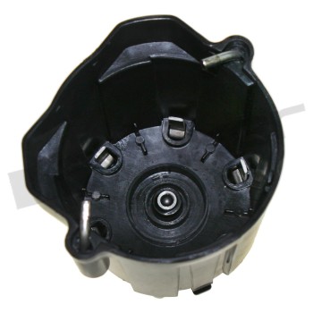 Distributor Cap