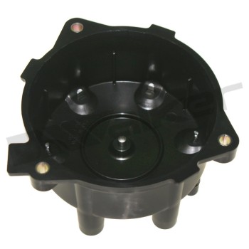 Distributor Cap