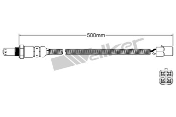 Oxygen Sensor