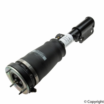 Suspension Strut Assembly