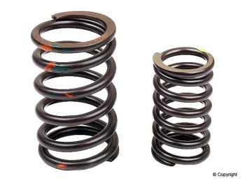Engine Valve Spring