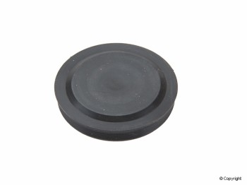 Engine Cylinder Head Plug