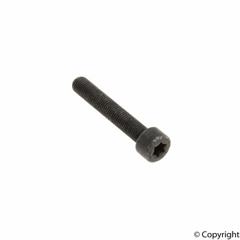 Disc Brake Caliper Bolt