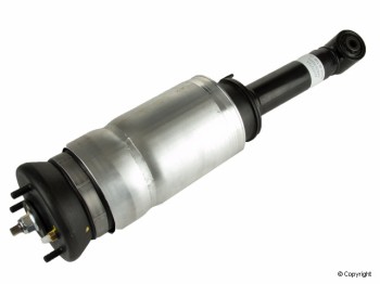 Suspension Strut Assembly