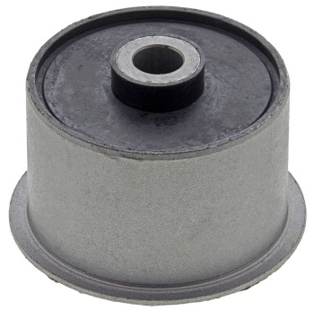 Suspension Trailing Arm Bushing