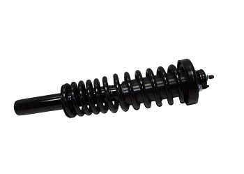 Suspension Strut and Coil Spring Assembly