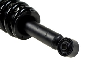 Suspension Strut and Coil Spring Assembly