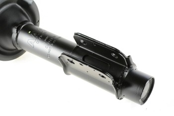 Suspension Strut and Coil Spring Assembly