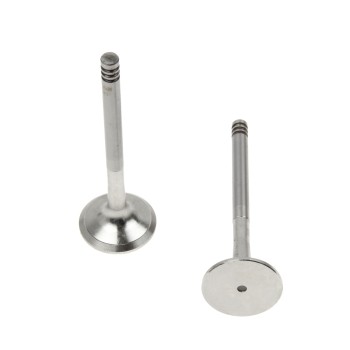 Engine Exhaust Valve