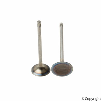 Engine Intake Valve