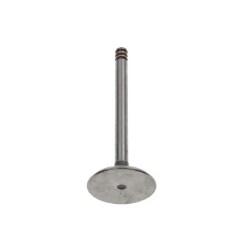 Engine Intake Valve