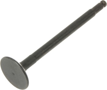 Engine Intake Valve