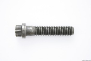 Engine Oil Pump Bolt
