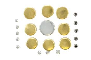 Engine Expansion Plug Kit