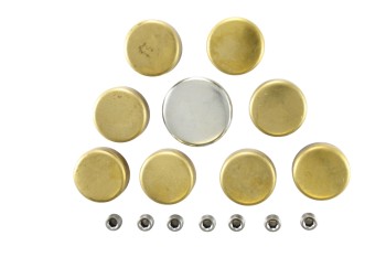 Engine Expansion Plug Kit