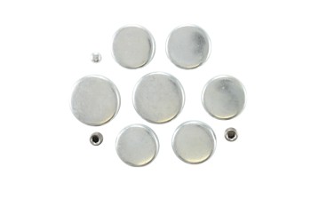 Engine Expansion Plug Kit