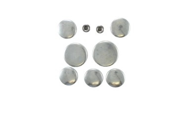 Engine Expansion Plug Kit