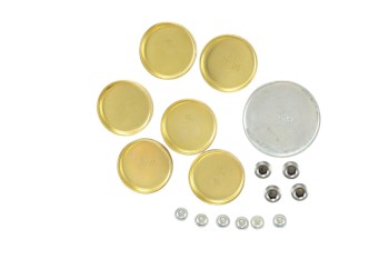Engine Expansion Plug Kit