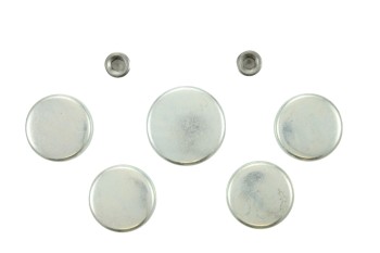 Engine Expansion Plug Kit