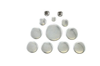 Engine Expansion Plug Kit