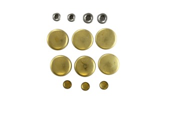 Engine Expansion Plug Kit