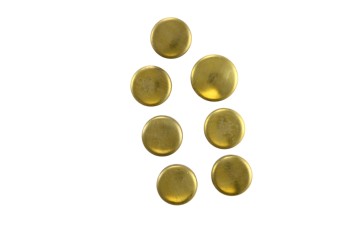 Engine Expansion Plug Kit