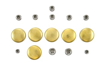 Engine Expansion Plug Kit