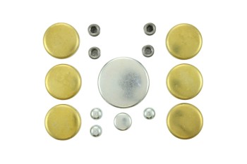 Engine Expansion Plug Kit