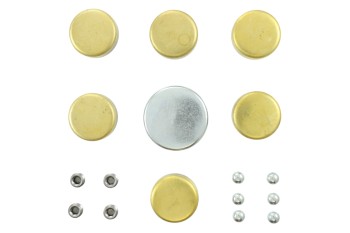 Engine Expansion Plug Kit