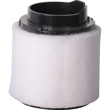 Engine Air Filter