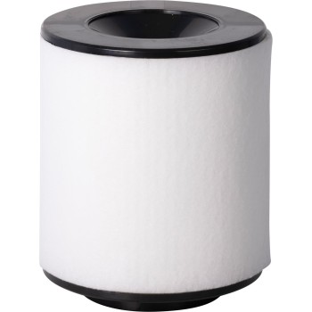Engine Air Filter