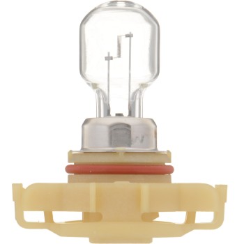 Fog Light Bulb