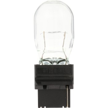 Back Up Light Bulb