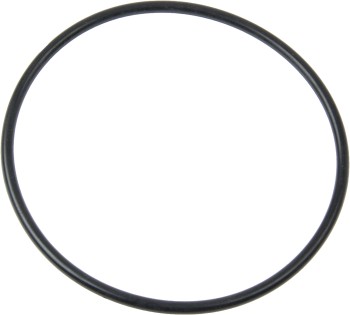 Fuel Pump O-Ring