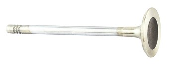 Engine Exhaust Valve