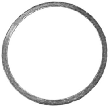 Catalytic Converter Gasket
