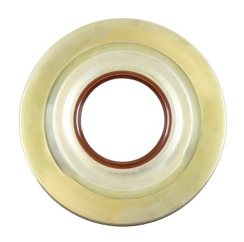 Engine Rear Main Seal Cover