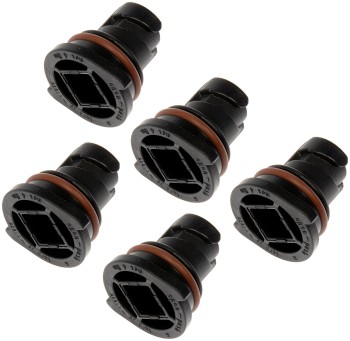 Engine Oil Drain Plug