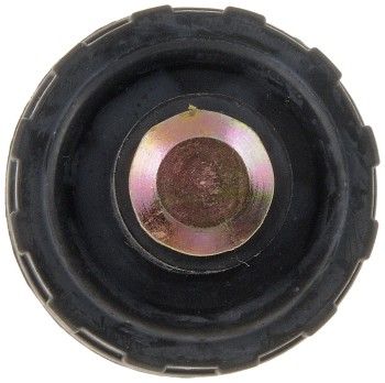 Engine Oil Drain Plug