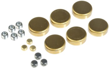 Engine Expansion Plug Kit