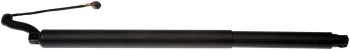 Liftgate Cylinder