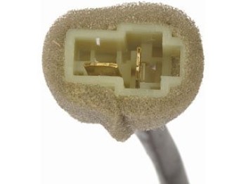 Window Motor and Regulator Assembly