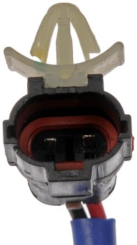 Window Motor and Regulator Assembly