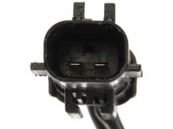 Window Motor and Regulator Assembly