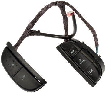 Cruise Control Switch