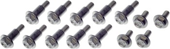 Engine Timing Cover Bolt Set