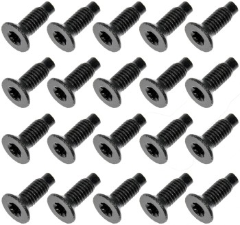Door Hinge Screw